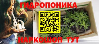 Альфа ПВП Рязань