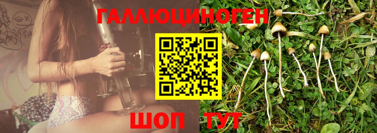 Галлюциногенные грибы Psilocybe  Вход с VPN  Белебей 